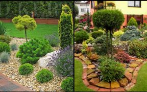 Sow Pretty Rock Landscaping Ideas For Front Yard | DIY Garden Ideas | Home Garden | Gardening Ideas