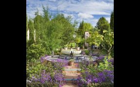 Front yard landscaping ideas