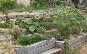 Landscaping Ideas for Sloped Backyard - Garden Design On Slopes