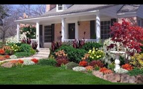 LOW BUDGET GARDEN  LANDSCAPING IDEAS