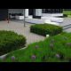 BEAUTIFUL SMALL YARD LANDSCAPING IDEAS