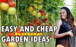 EASY, CHEAP AND AWESOME, LANDSCAPING IDEAS  |  DIY Garden  |  EASY HOME GARDEN IDEAS