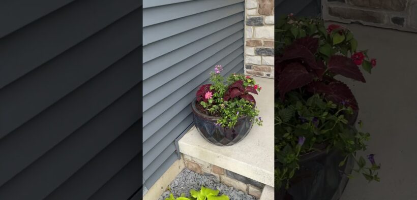 Large Front Yard Landscaping Ideas