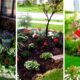 Top Home Garden Landscaping Ideas 2023 | House Backyard Patio Design Ideas 2023  | Front Yard Garden