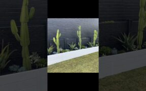 backyard landscaping ideas