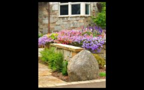 Rock Garden Landscaping Ideas #landscapingideas #rockgarden #youtubeshorts