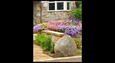 Rock Garden Landscaping Ideas #landscapingideas #rockgarden #youtubeshorts