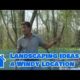 Landscaping Tips : Landscaping Ideas for a Windy Location