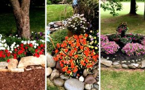 Ideas for small garden design | Small yard landscaping ideas