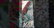 10 BEST GARDEN LANDSCAPING IDEAS #shorts
