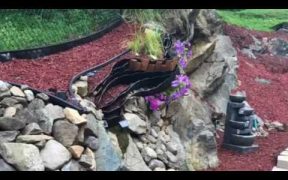 Rock Slope Yard Landscaping Ideas