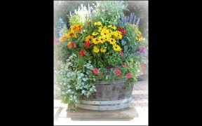 Small Yard Landscaping Ideas #landscapingideas #gardening #ytshorts