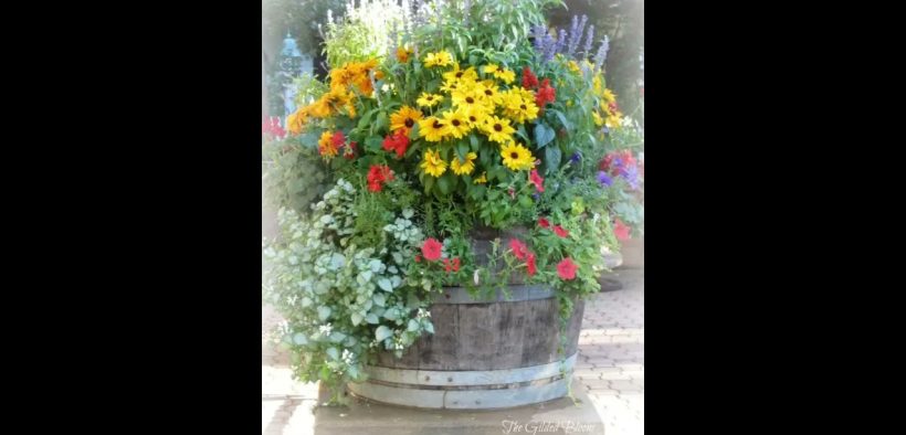 Small Yard Landscaping Ideas #landscapingideas #gardening #ytshorts