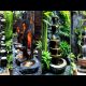 Create Serenity: Must-See Garden Fountain Ideas for Your Backyard Oasis!