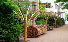 Amazing Bamboo Garden Design ideas