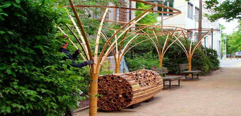 Amazing Bamboo Garden Design ideas