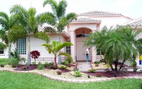 Front Garden ideas with palm trees