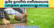 How to Install Lawn Grass - தமிழில் | Landscape Lawn Grass Turfing | Gardening Ideas Tamil