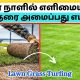 How to Install Lawn Grass - தமிழில் | Landscape Lawn Grass Turfing | Gardening Ideas Tamil