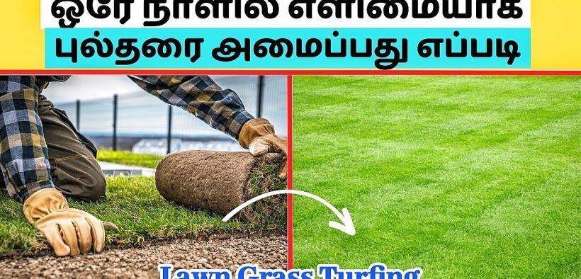 How to Install Lawn Grass - தமிழில் | Landscape Lawn Grass Turfing | Gardening Ideas Tamil