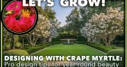 CRAPE MYRTLE CARE SECRETS: Varieties, Care tips & Landscape Design Ideas