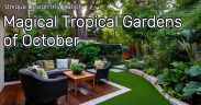 🌿 Tropical Paradise Garden Ideas You’ll Love | October Highlights 2025