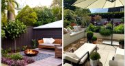 Transforming Outdoor Oasis:The Art of Beautiful Landscaping your Backyard/ Gardening ideas for home