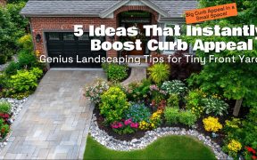5 Landscaping Ideas for Maximizing Your Small Front Yard Garden’s Curb Appeal