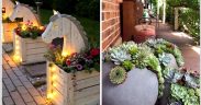 Transforming Outdoor Oasis:The Art of Beautiful Landscaping your Backyard/ Gardening ideas for home