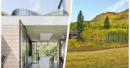 75 Mid-sized Yellow Landscaping Design Ideas You'll Love 🔴