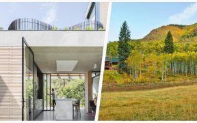 75 Mid-sized Yellow Landscaping Design Ideas You'll Love 🔴