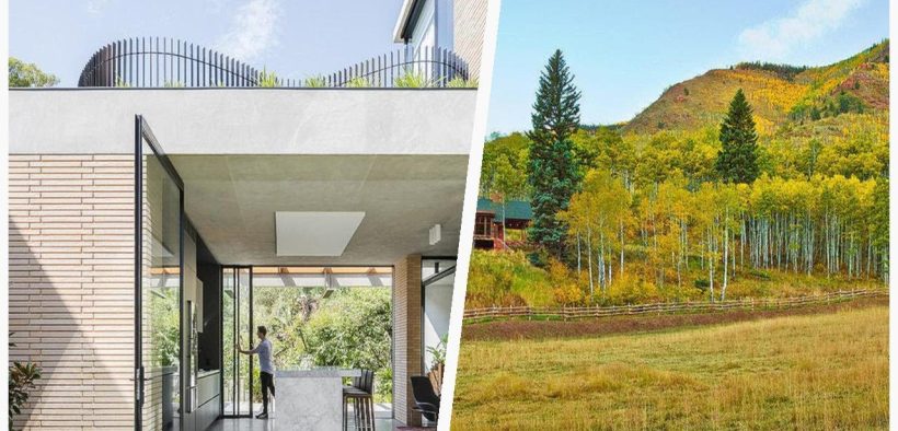 75 Mid-sized Yellow Landscaping Design Ideas You'll Love 🔴