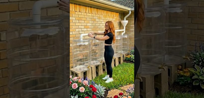 Look at the genius idea she had using old plastic jugs nobody wanted 😲